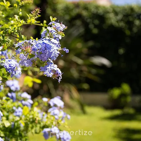 Family Retreat By Propertize Villa Olbia